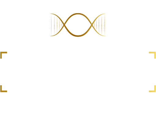 Ciencia en Foco, Tecnología en Foco