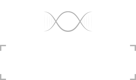 Ciencia en Foco, Tecnología en Foco
